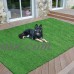 Sweet Home Meadowland Indoor/Outdoor Green Artificial Grass Turf Area and Runner Rug   550490235